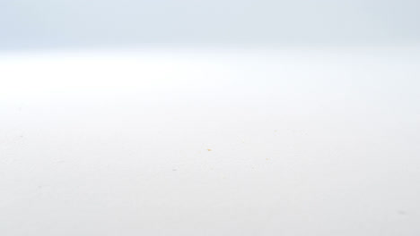 una sola rebanada de pan sobre un fondo blanco