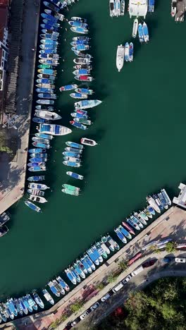 Vertical-drone-shot-captures-stunning-panorama-of-marina-in-Santa-Cruz-Bay,-Huatulco,-Oaxaca