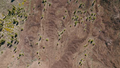 Toma-Aérea-De-Un-Dron-Cenital-De-Una-Montaña-De-Tierra-Con-Algunos-árboles