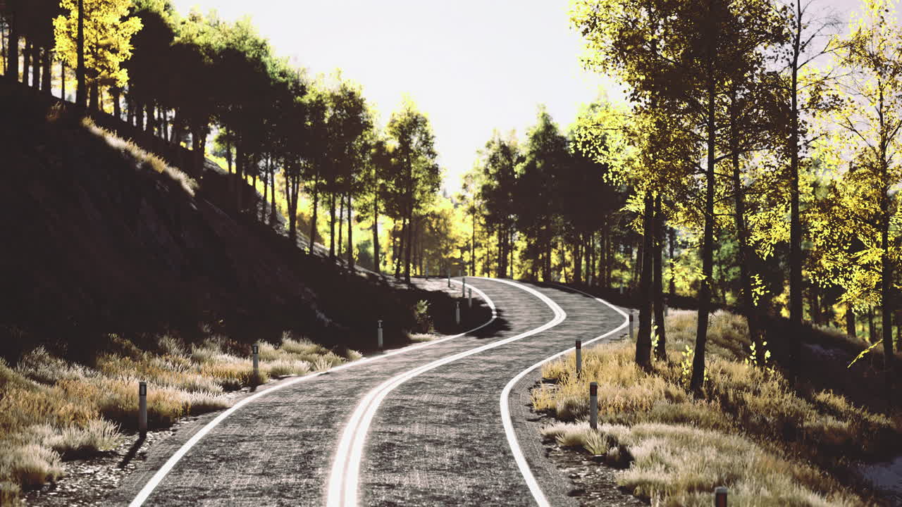 Winding road through autumn trees in a serene landscape at golden hour