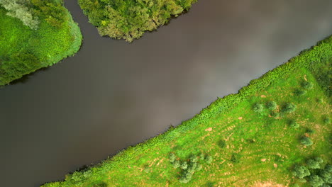 rotating drone aerial over navigable water ways through conifer forests in the netherlands