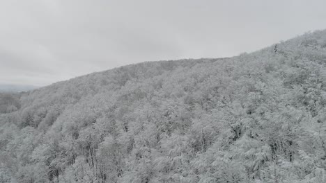 겨울 동안 루마니아 숲의 조감도