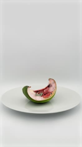 rotting watermelon timelapse. 4 weeks in 30 seconds. food spoilage