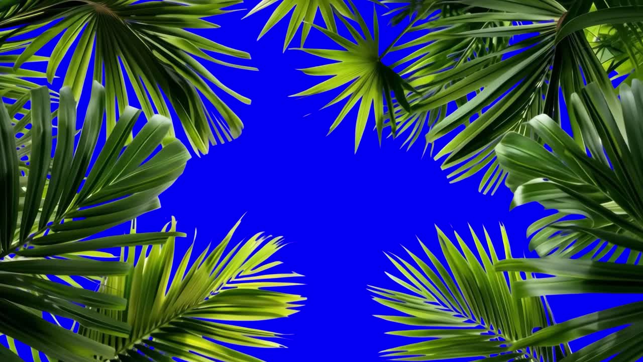 Green leaf border frame animation, transparent 4K video, green screen