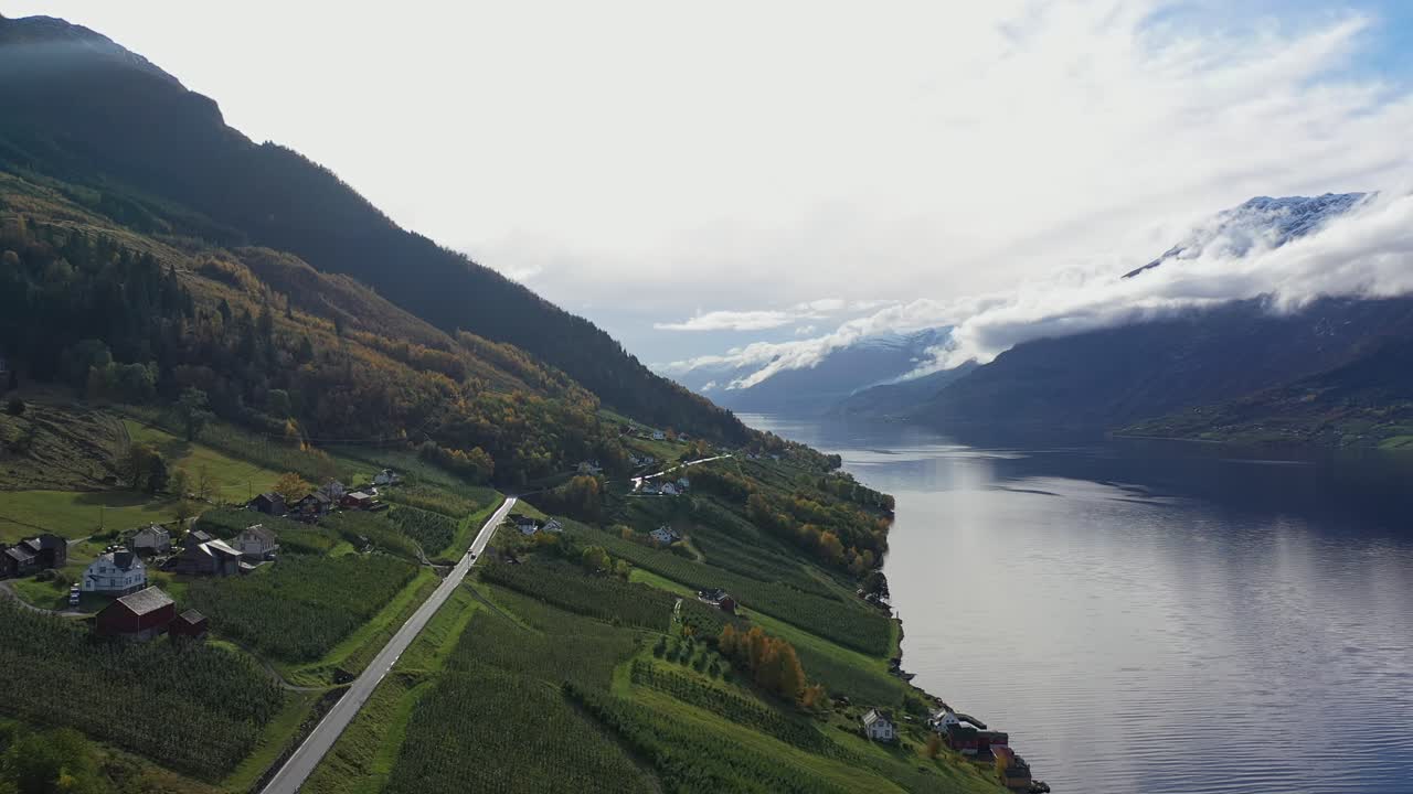 carretera entre eidfjord y odda a lo largo de sorfjorden pasando kinsarvik en hardanger noruega - impresionante paisaje con granjas de frutas a la izquierda y picos nevados a la derecha - noruega aérea de otoño