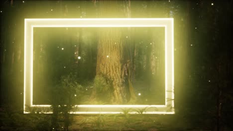 marco rectangular brillante de neón en el bosque nocturno