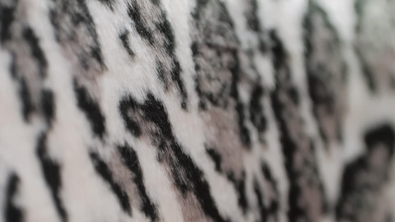 A closeup of soft, curly wool fibers in natural, neutral tones, showing intricate details and textures