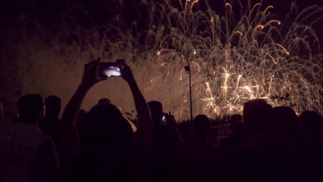 crowd watching fireworks display at night