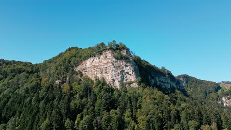 rock in the middle of the forest in a place in switzerland towards the end of summer