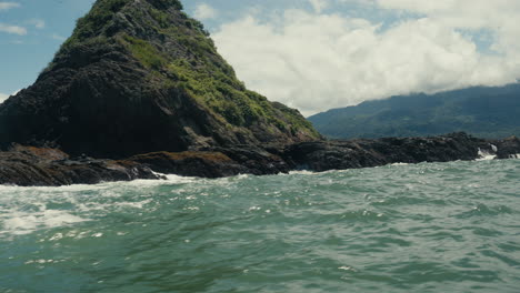 rocky coast with waves and vegetation