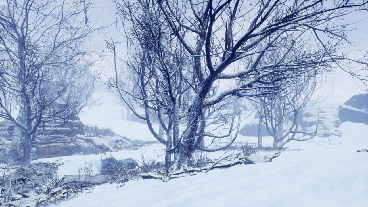 안개 가 많은 아침 에 겨울 의 낙 ⁇  숲