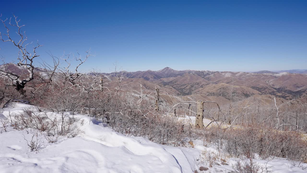 눈과 맑은 하늘이 있는 멀리 있는 산맥의 패닝 샷