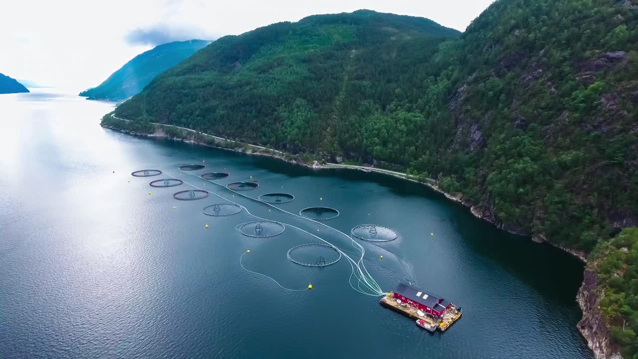 Riprese aeree di allevamento di salmoni in Norvegia