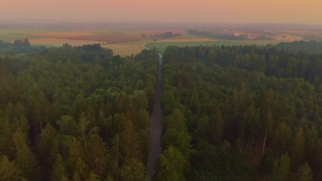 smooth flight forward by a drone over a green forest in summer at the aerly sunrise, swing up shot to the orange light of the morning sky