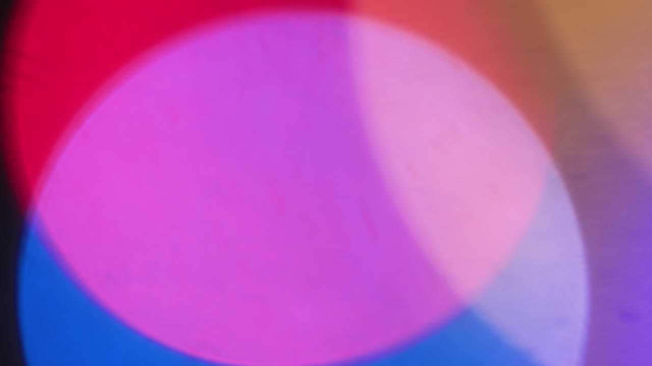 bellamente brillan y se mueven fuera de foco luces de navidad multicolores.