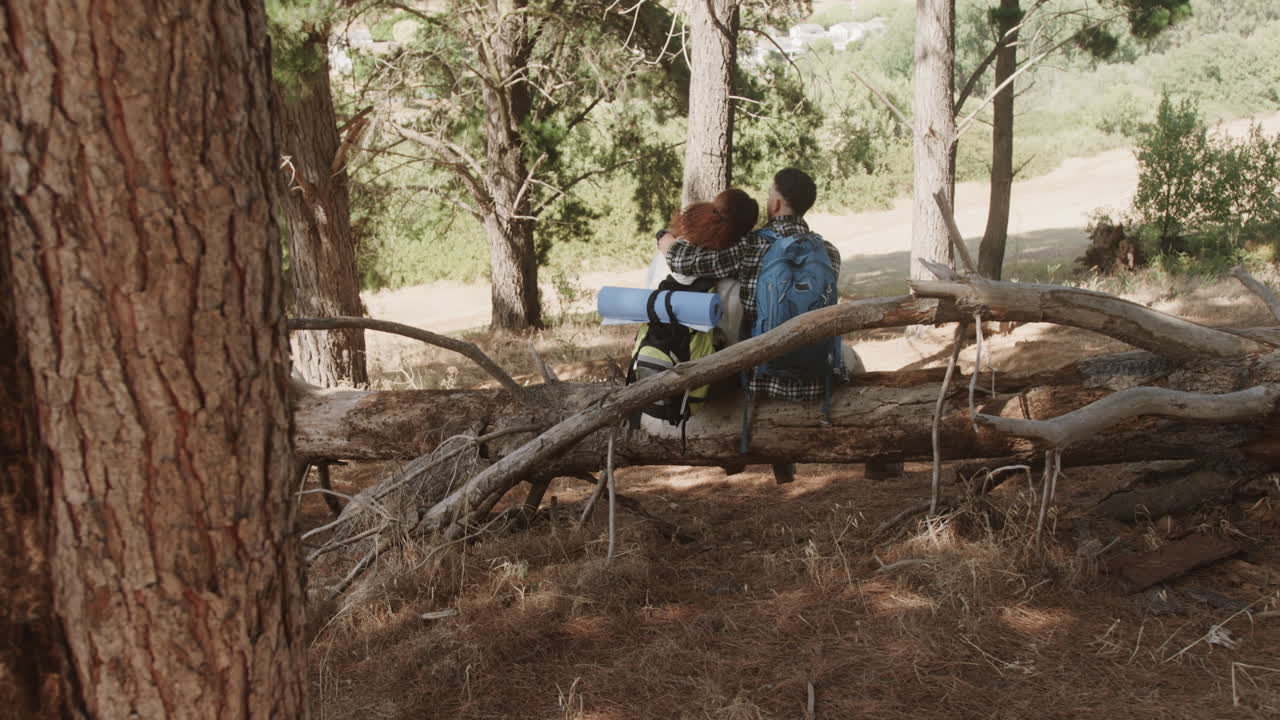 Happy african american couple sitting on tree trunk and embracing in forest, slow motion