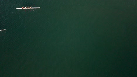 Top-Down-View-Of-Boat-Teams-Rowing-In-The-Ocean-In-Marina-Del-Rey,-Los-Angeles,-California---Drone-Shot