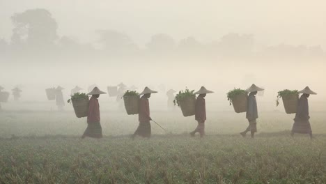 harvesting serenity: a morning scene of farmers in fog carrying baskets of fresh produce through lush fields, emphasizing the beauty of agriculture and nature's tranquility