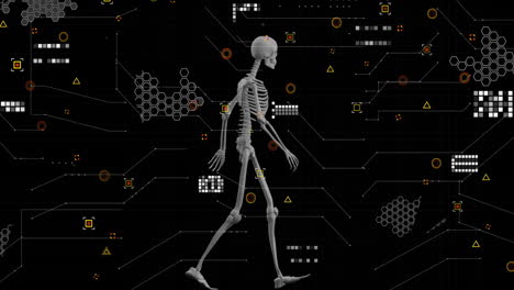 walking skeleton over digital data and geometric shapes, animation of scientific analysis