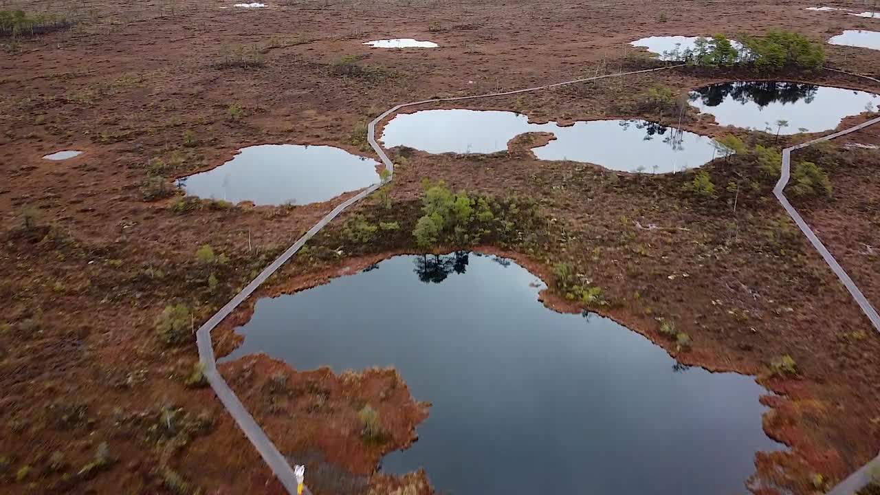 Aerial drone flying over a bog with lakes in Soomaa National Park in Estonia