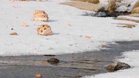 the first snow is powdered over banks of the small creek