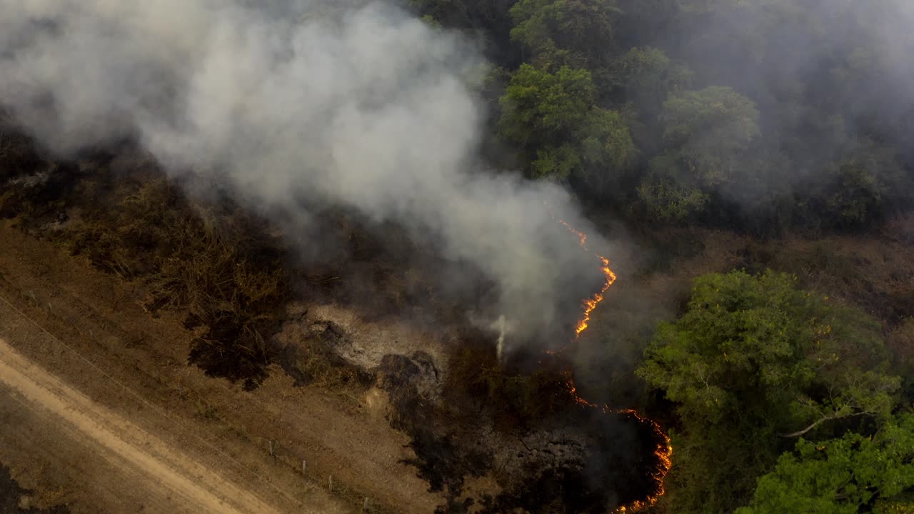 los incendios arden y arden en el pantanal brasileño - humo espeso que se eleva sobre el humedal boscoso - vista aérea