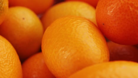 close-up view of kumquats