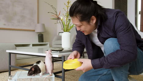 hombre alimentando mascotas