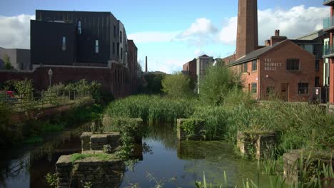 urban canal scene: a blend of old and new architecture