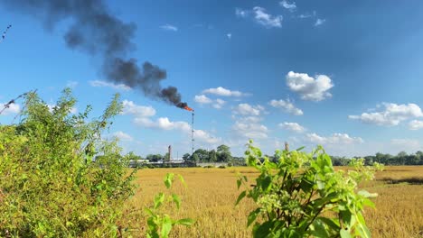 Wide-shot-of-Gas-tower-burning-emitting-smoke-by-farmland-agriculture-landscape