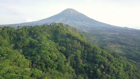 epic drone flight showing tropical forest trees growing on hilltop and famous mount sumbing in background