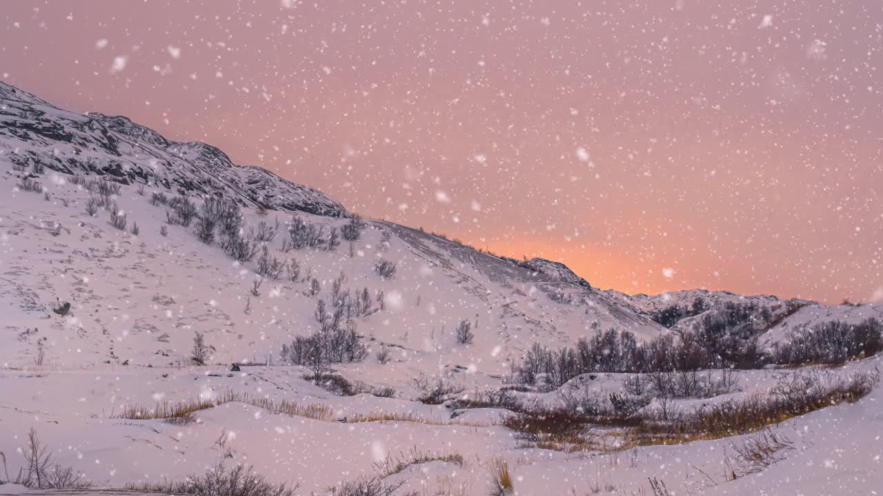핑크색 해가 지는 산호의 아름다운 겨울 풍경, 느린 동작으로 떨어지는 눈송이, 겨울 배경.