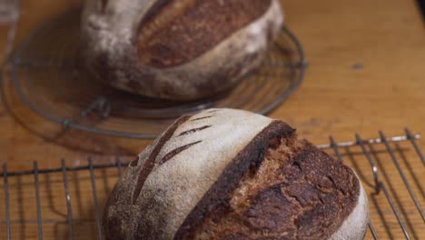 delicious organic bread on the rack fresh from the oven - dolly slowmo shot