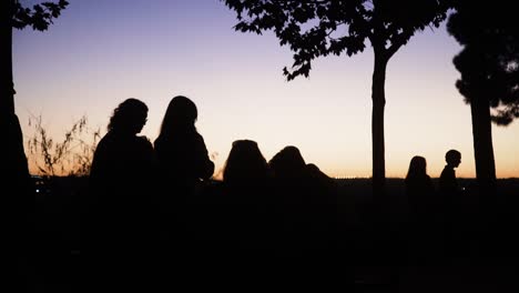 silhouetted people in a park at sunset in slow motion