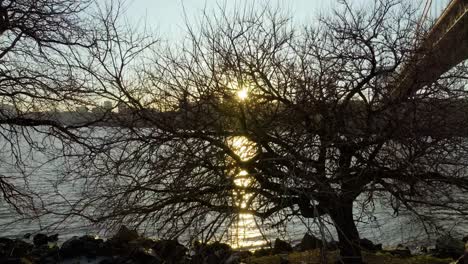 Aerial-view-of-a-sunburst-between-leafless-branches,-spring-sunset-above-the-Hudson-river,-New-Jersey---Ascending,-drone-shot