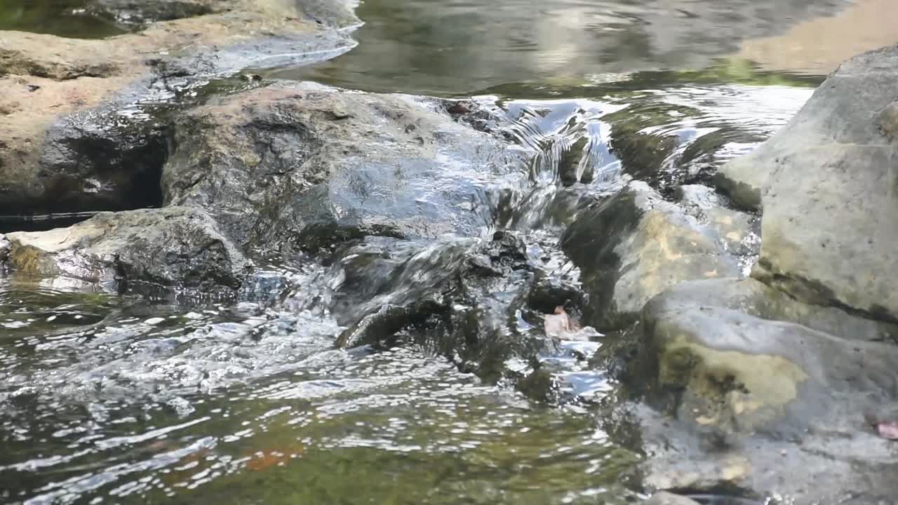 화강암 돌 사이로 흐르는 정글의 작은 줄기는 거품을 만들며 천천히 흐릅니다.
