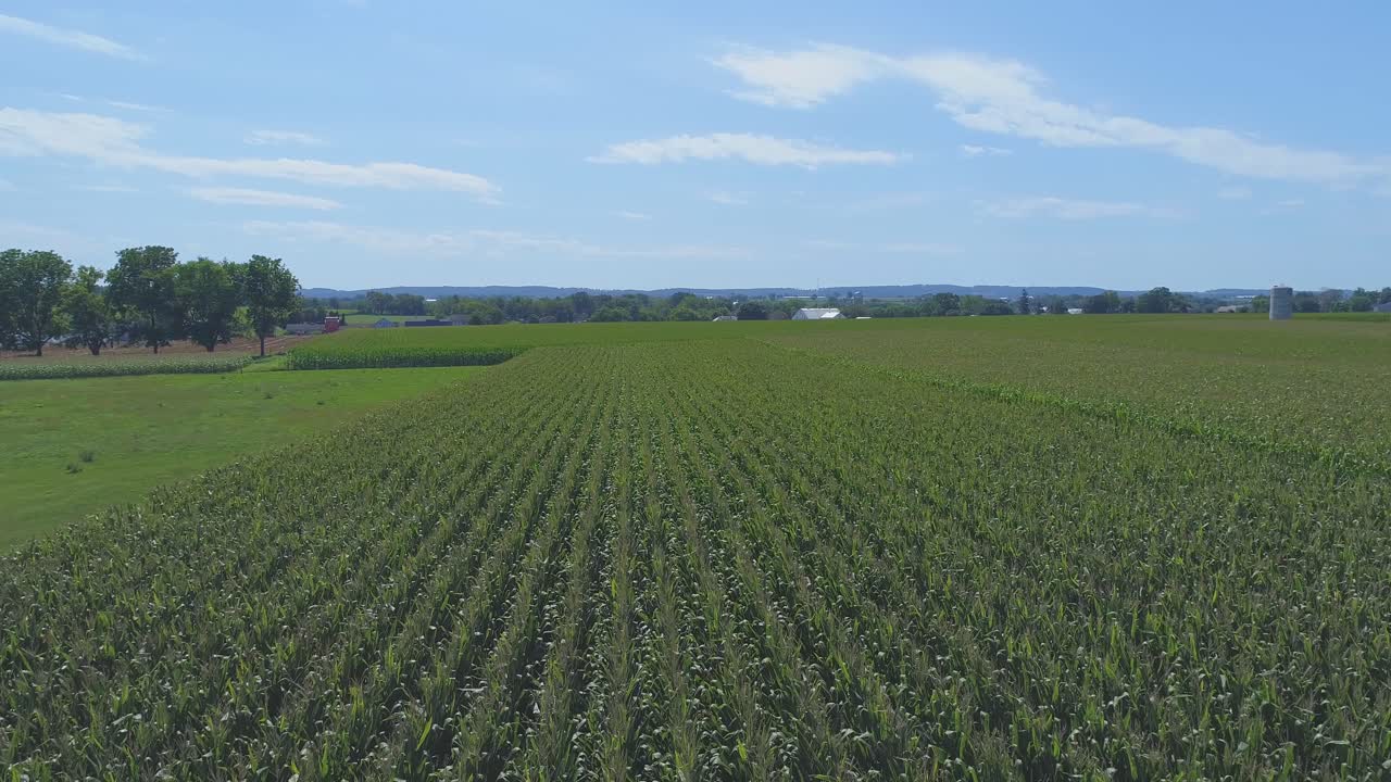 una vista aérea de cerca de las tierras de cultivo amish y el campo con campos de maíz en un día soleado de verano