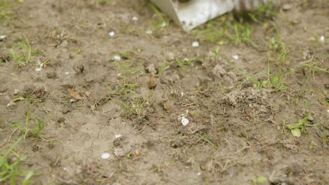 Picking-up-Dog-Poop-with-Scoop-and-Rake