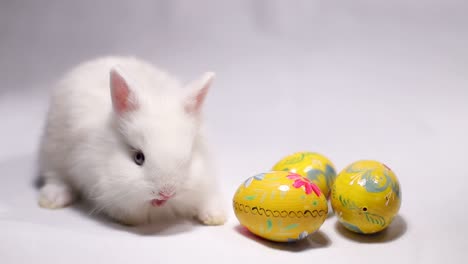 cute white bunny with colorful easter eggs