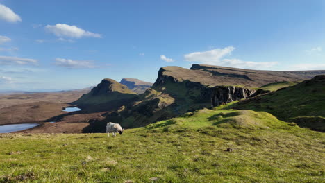 Ovejas-Pastando-En-Exuberantes-Colinas-Verdes-Con-Montañas-Escarpadas-Y-Lagos-En-La-Isla-De-Skye