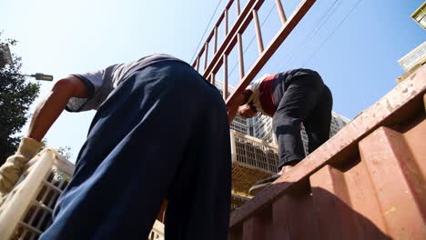 workers are diligently loading fresh kiwis into plastic boxes for transport in a truck, highlighting the harvesting efforts in shaanxi province, china.