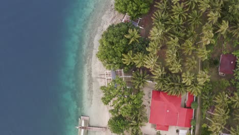 coconut trees on sandy beach with clear blue water at san pablo island in philippines