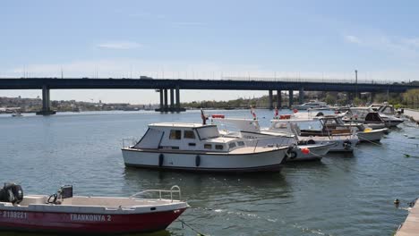 boats docked in a harbor with a bridge in the background