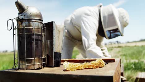 Hive-smoker-on-beehive-in-apiary