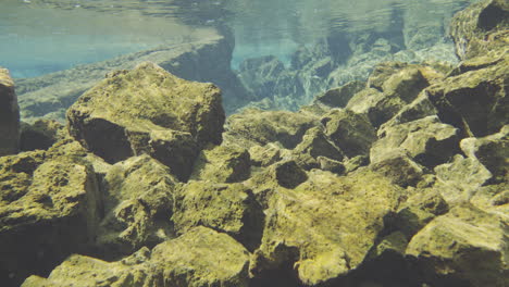 move with the water over rocks in underwater exploration of rocky terrain in a clear freshwater environment during daylight hours silfra fissure iceland