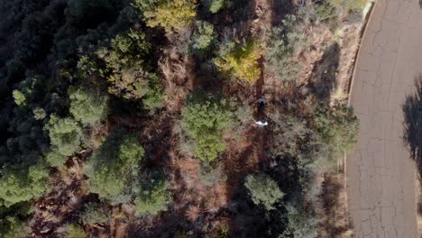 Vista-Aérea-De-Dos-Hombres-Caminando-En-Un-Arbusto-Junto-A-Una-Carretera-De-Alquitrán