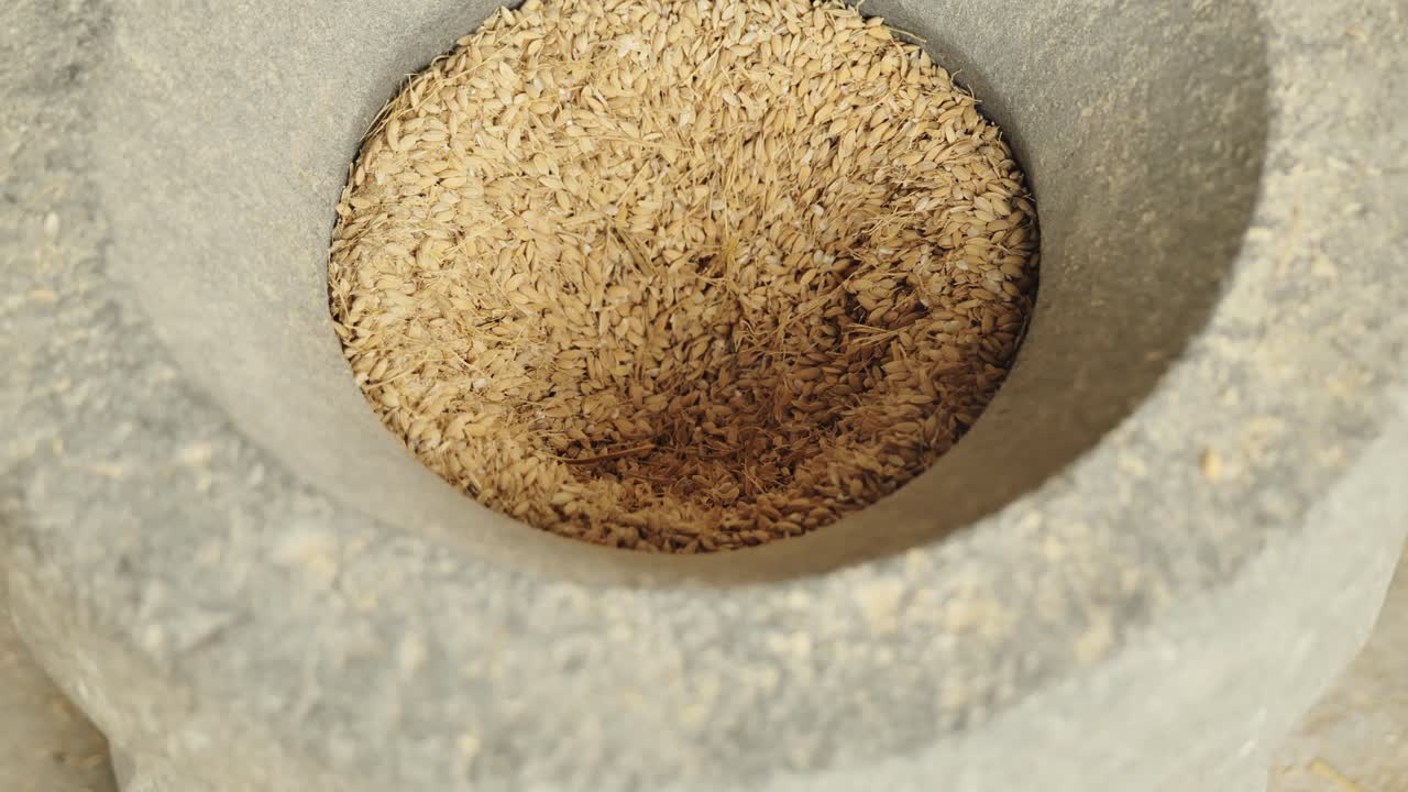 Wooden pestle crushes rice grains into flour in Batad Ifugao Philippines