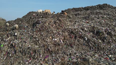 aerial view, huge mountains of garbage piled up at the piyungan landfill, yogyakarta