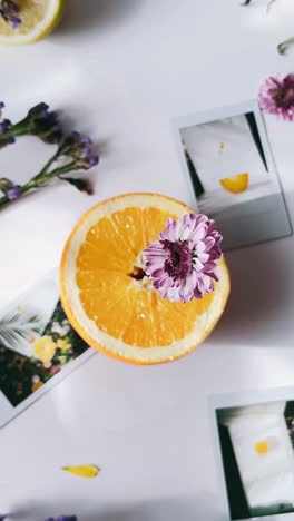 orange slice with flowers and instant photos