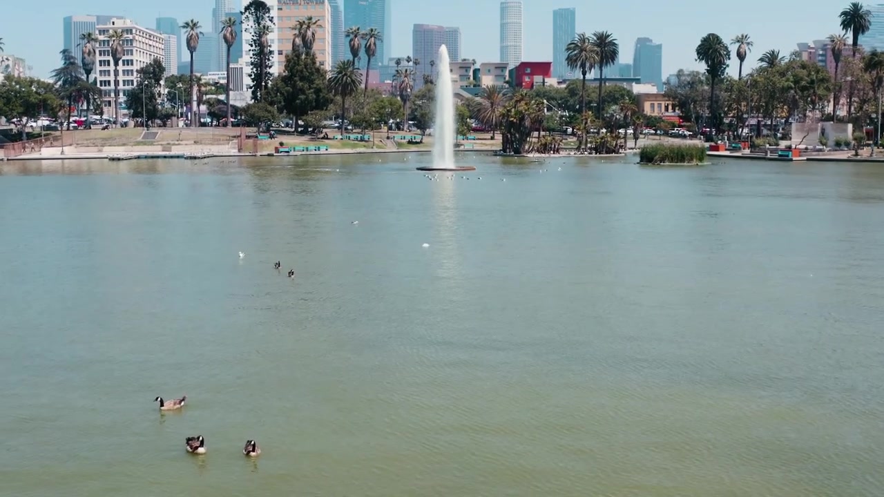 Sorvolo dell'Echo Park di Los Angeles che rivela lo skyline del centro